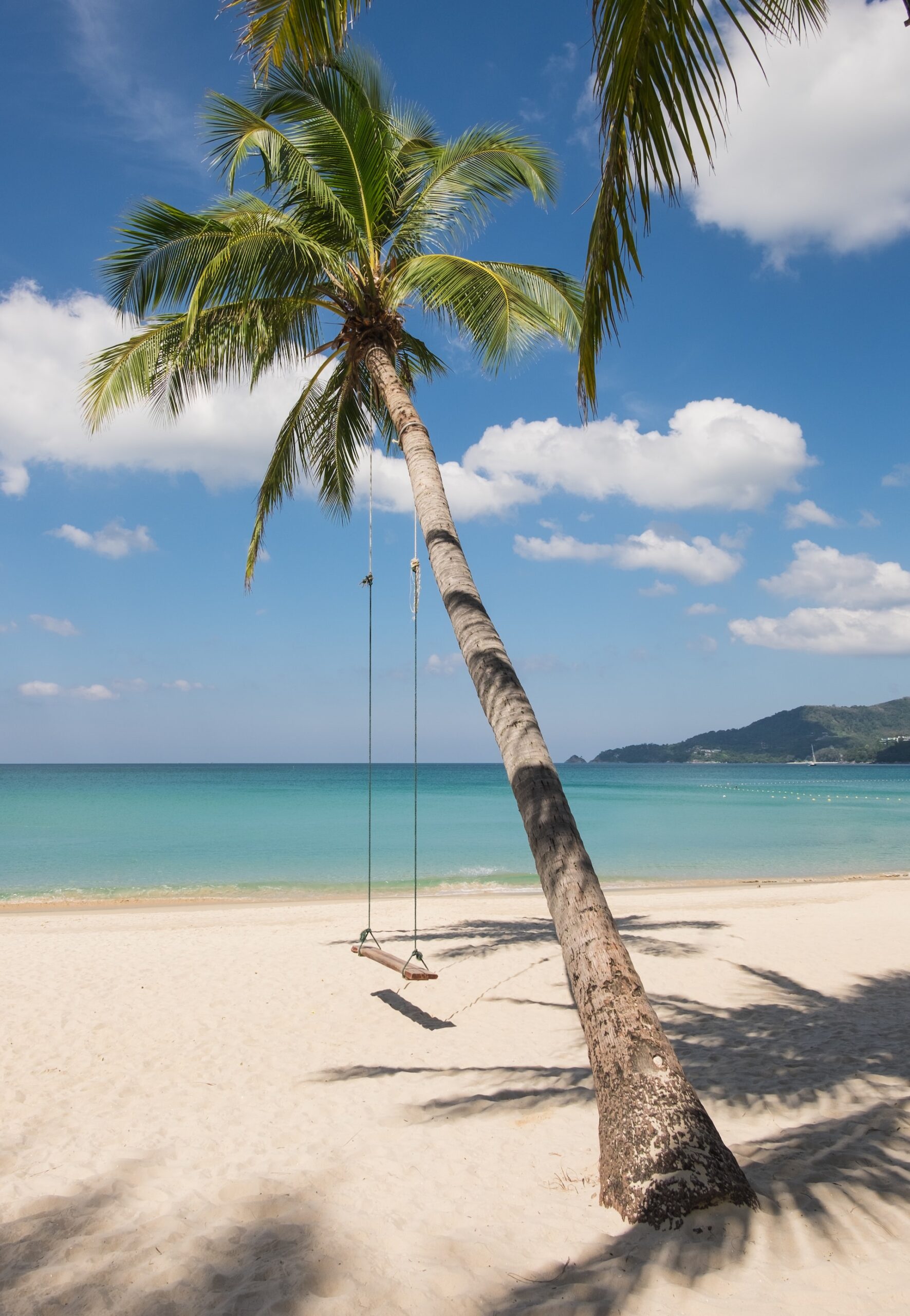  hængekøje mellem palmetræer ved stranden i Phuket