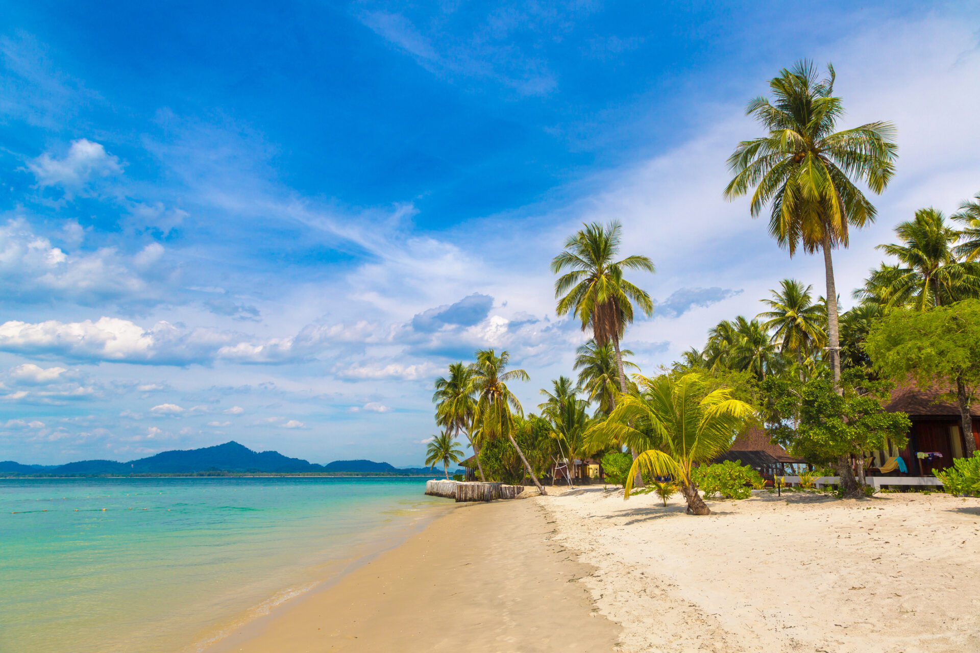 Udækket paradis strand i Thailand med palmer, klart blåt himmel og roligt azurblåt hav. Idyllisk uforstyrret turistdestination, der viser