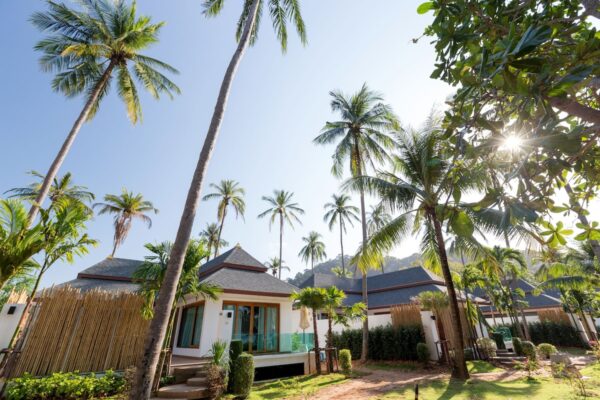 Udsigt til solnedgang på Ao Nang Resort med palmer