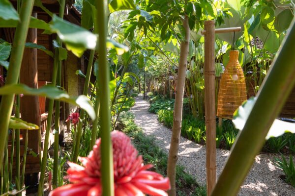 Havevandring langs smuk blomstersti med rig planteliv, der skaber en fredfyldt oase i boutique resort stil