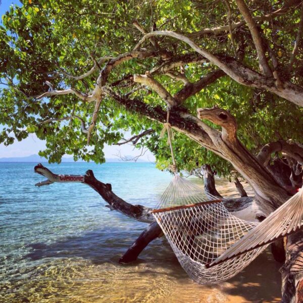 Strand resort med hængekøje under træ ved Reef Resort Kradan