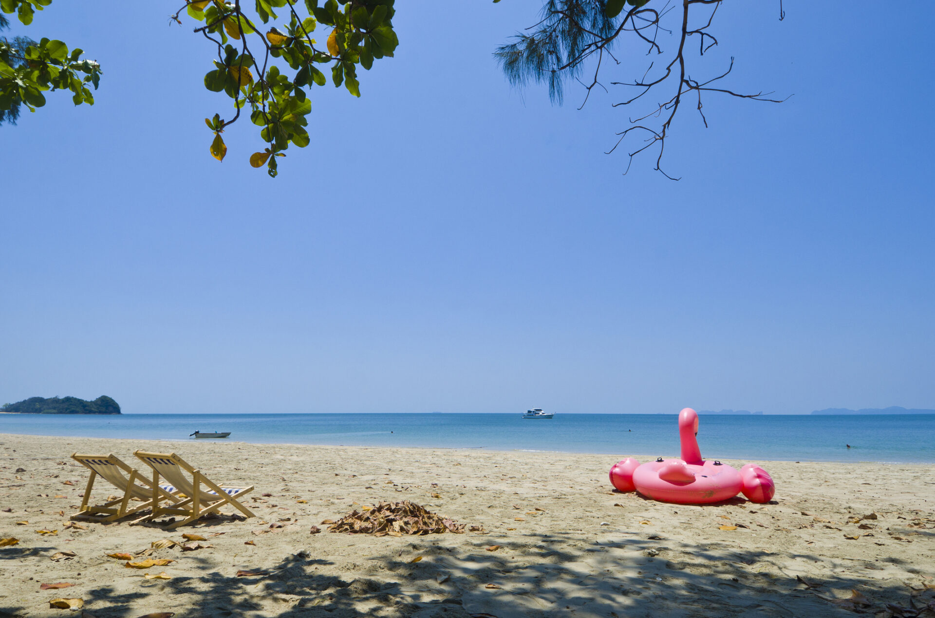 Kvartet på sandstrand i Thailand spiller sød musik med lyserød flåde i nærheden